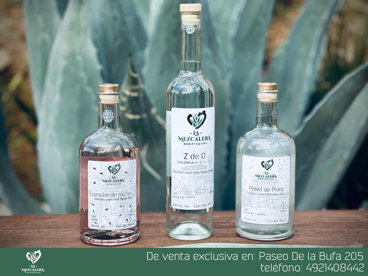 Foto 3 de MEZCALERA ZACATECANA
